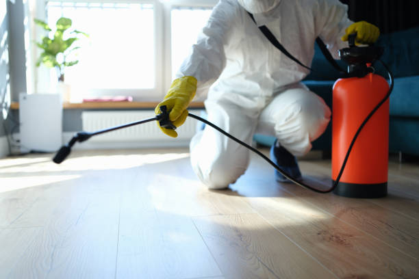 Reliable Blood Cleanup contractor in Alpine, CA by Dulley Family Biohazard Services